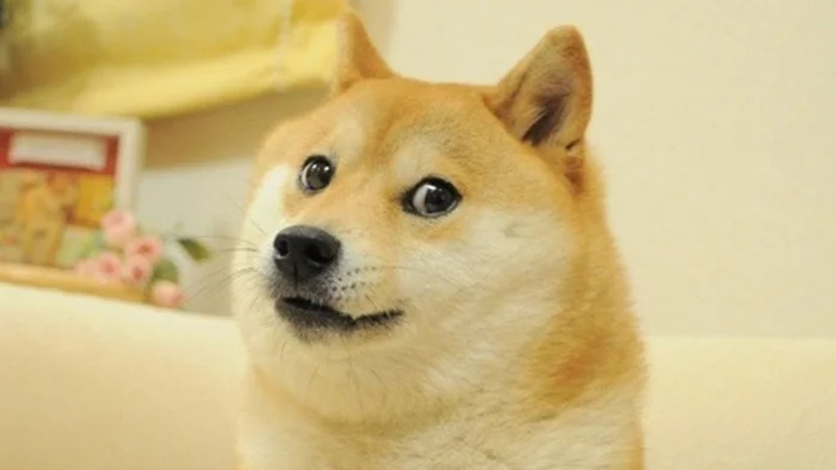 Dogecoin Dogecoin