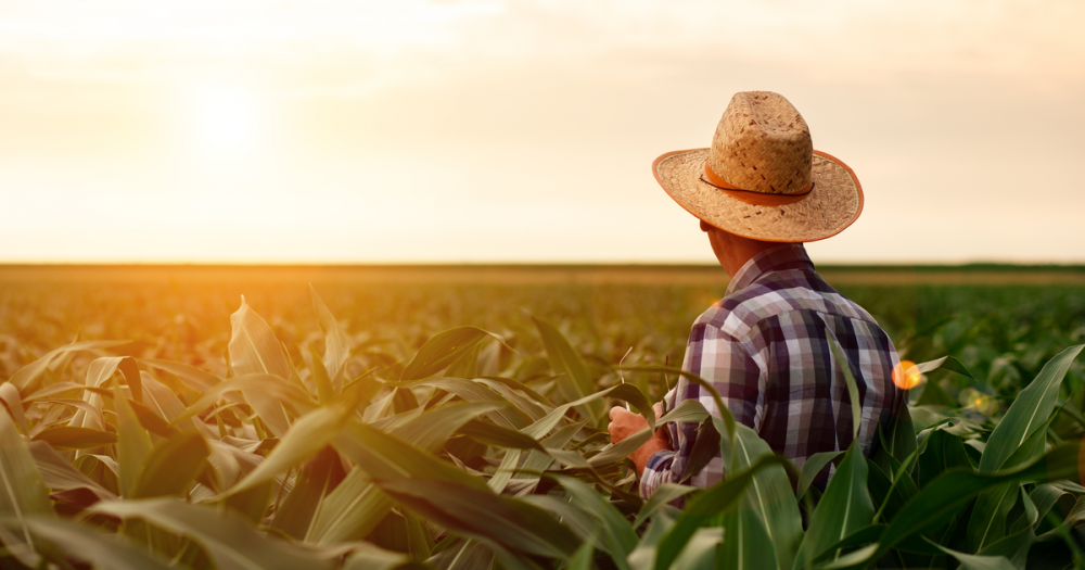 How Lucrative Are Yield Farms Really?