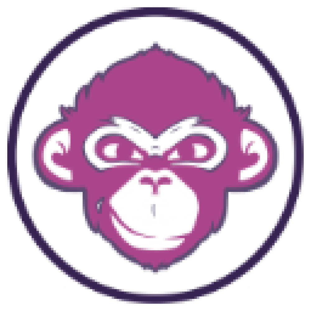 R3FI - New and Improved duplication of the Original RFI