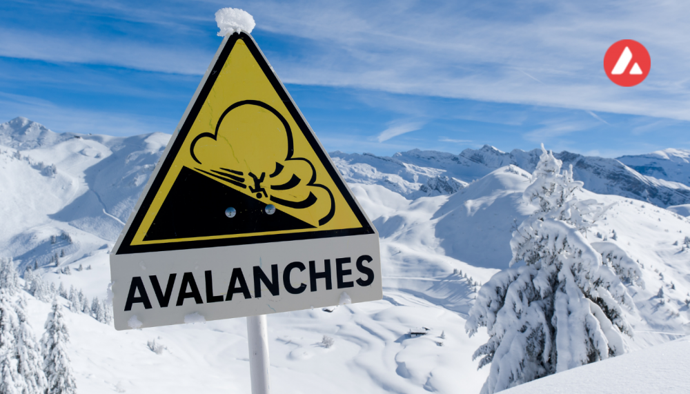 The Rising Avalanche-based Projects Boosting The Blockchain’s Growth