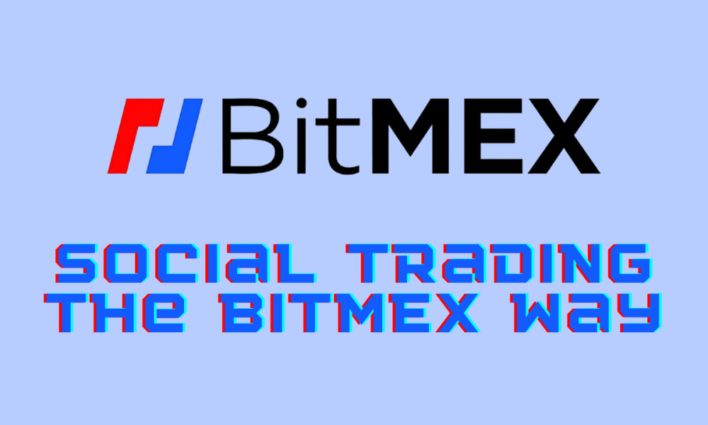 BitMEX Launches Guilds: Social Trading the BitMEX Way