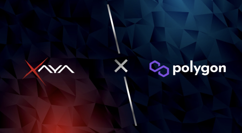 Blockchain Gaming Platform Xaya Brings Decentralized Games to Polygon