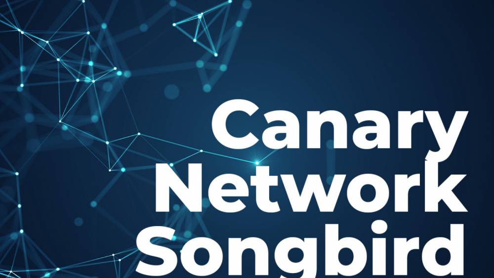 Flare’s Canary Network Songbird Exits Observation Stag