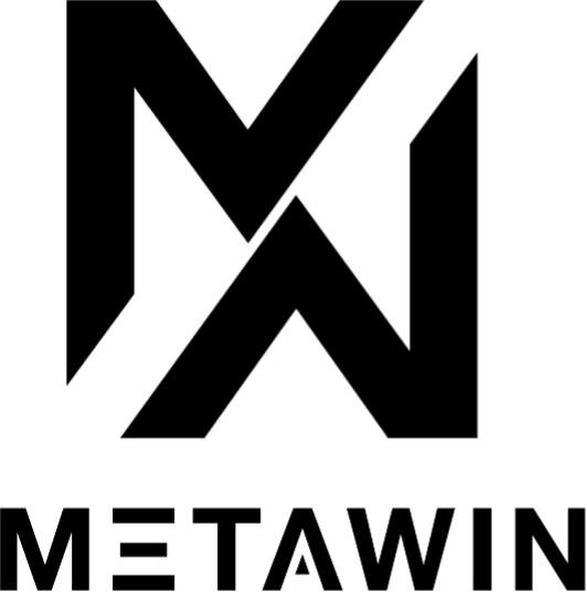 MetaWin