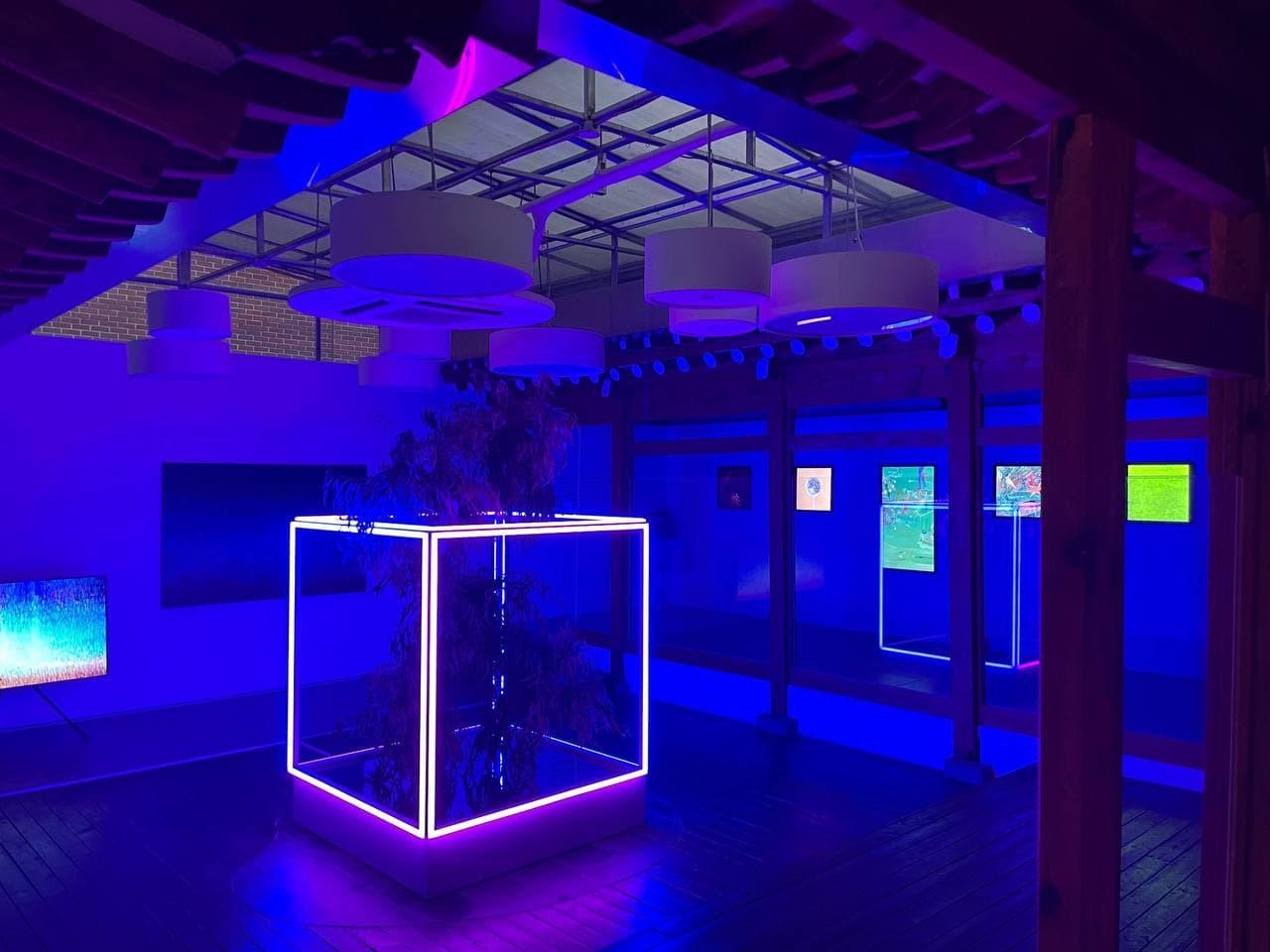 3Space Art Kicks Off “Enter the Void,” the First NFT Art Exhibition Held Simultaneously in a Physical Gallery and the Metaverse