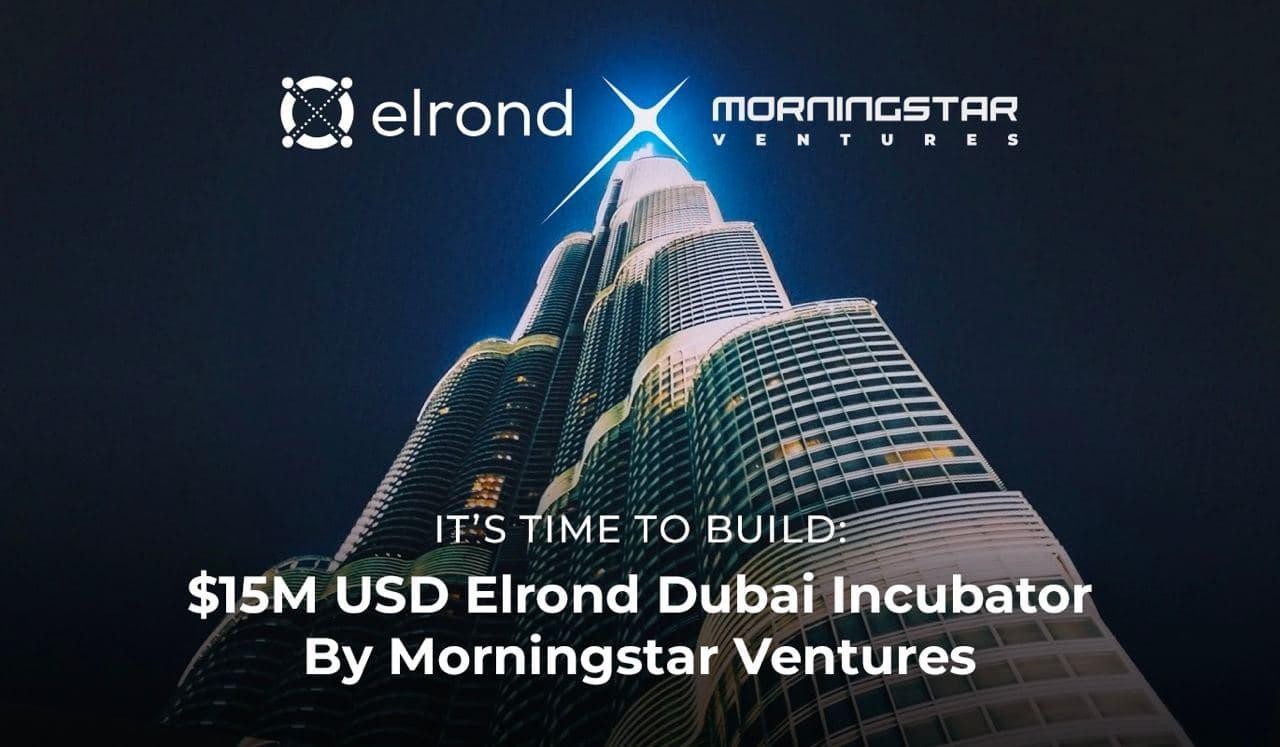 Morningstar Ventures Commits $15 Million USD To Invest In Projects Building On Elrond Network And Opens An Elrond Incubator in Dubai